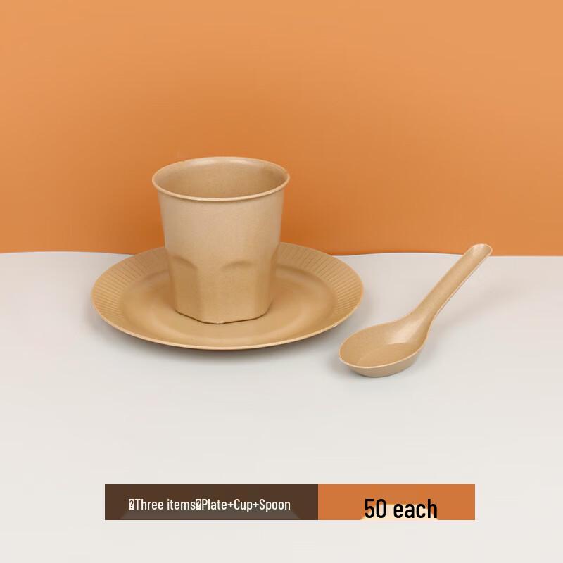 Shixun Disposable Food-Grade Tableware Set