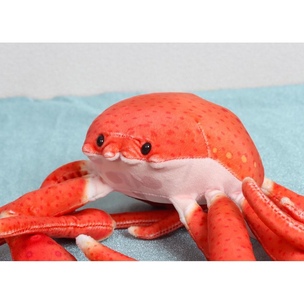 Take-Off Off the Hook Plush Sea Fish and Crab Toy