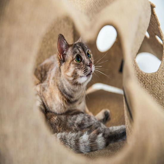 Felt Cat Tunnel with Peek-a-Boo Holes Foldable Large Interactive Cat Play Mat Hideaway Cave Indoor Cats
