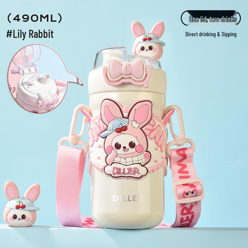 Dilebell 490ML 316 Stainless Steel Insulated Straw Water Bottle