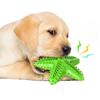 Dog Starfish Teething Toy & Toothbrush: Pet-Friendly Chew Stick