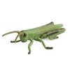 Sefod Realistic Insect Model Figure Animal Animal Model Birthday Christmas 8-Piece Toy, Toy, Doll, Decoration, Gift,
