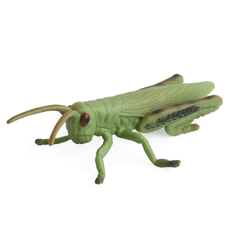 Sefod Realistic Insect Model Figure Animal Animal Model Birthday Christmas 8-Piece Toy, Toy, Doll, Decoration, Gift,