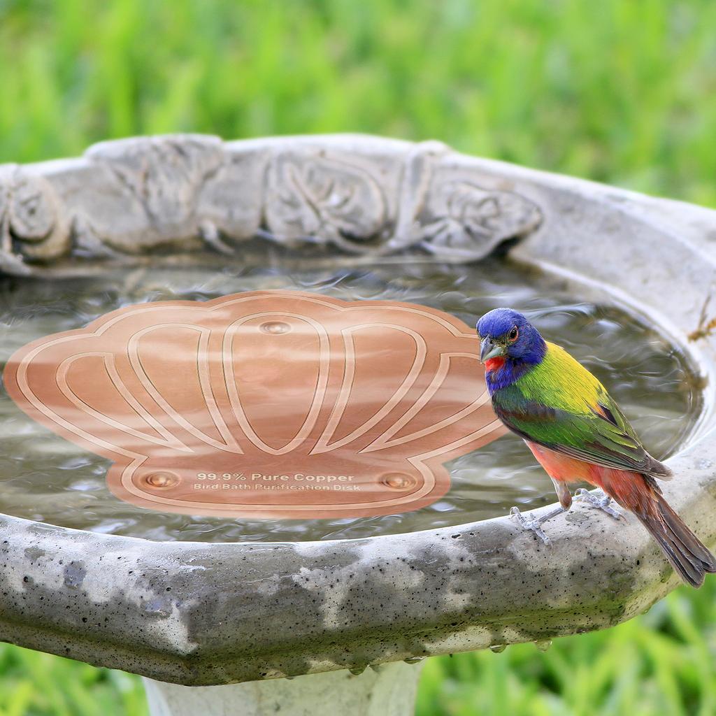Bird Bath Copper Disk 0.8mm Triple-Point Support Design Bird Bath Purification Disk for Physical Safe Clean Water All-Season