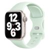 Blassminzgrünes magnetisches gewebtes Silikonarmband für Apple Watch Series 1-10