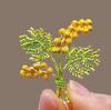 Tree Brooch Pin, Elegant Waist Clasp and Dress Clip for Women, Fashion Accessory