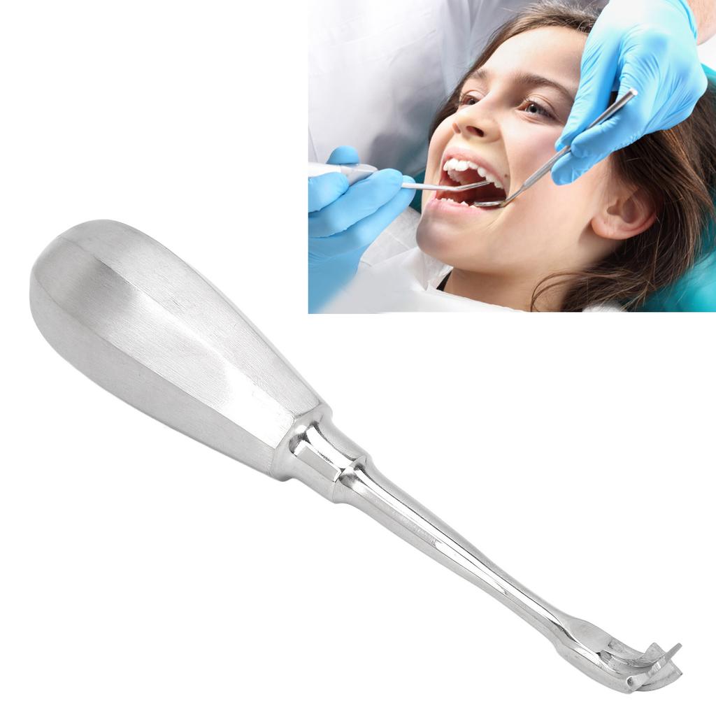 Stainless Steel Crown Remover Dental Crown Splitter Elevator Dental Surgical Instrument for Dentist