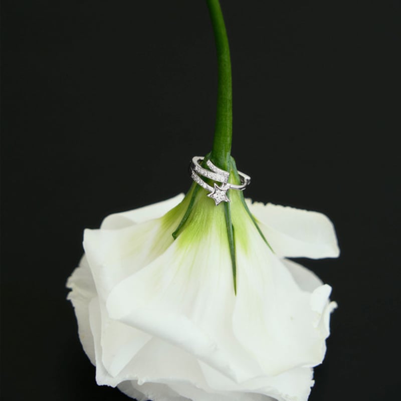 

TORTOISE [Silver925] Cesis Star Earrings silver