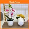 Flower Phalaenopsis Botanical Props For Bridal Events And Party Decor