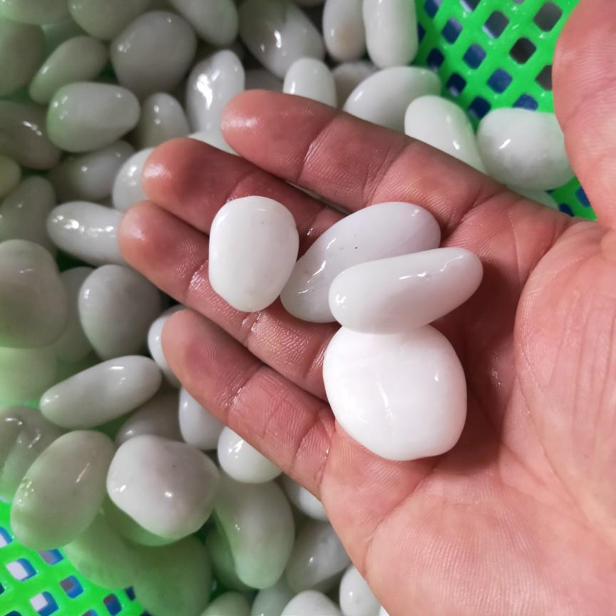 Polished White Natural Pebble Stones for Hydroponics, Fish Tanks, Landscaping, and Balcony Decor
