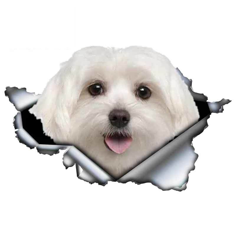 13cm X 6cm 1 Pcs Cute Maltese Car Sticker Pet Dog Car Decoration Torn Metal Decal Reflective Sticker Waterproof Car Styling