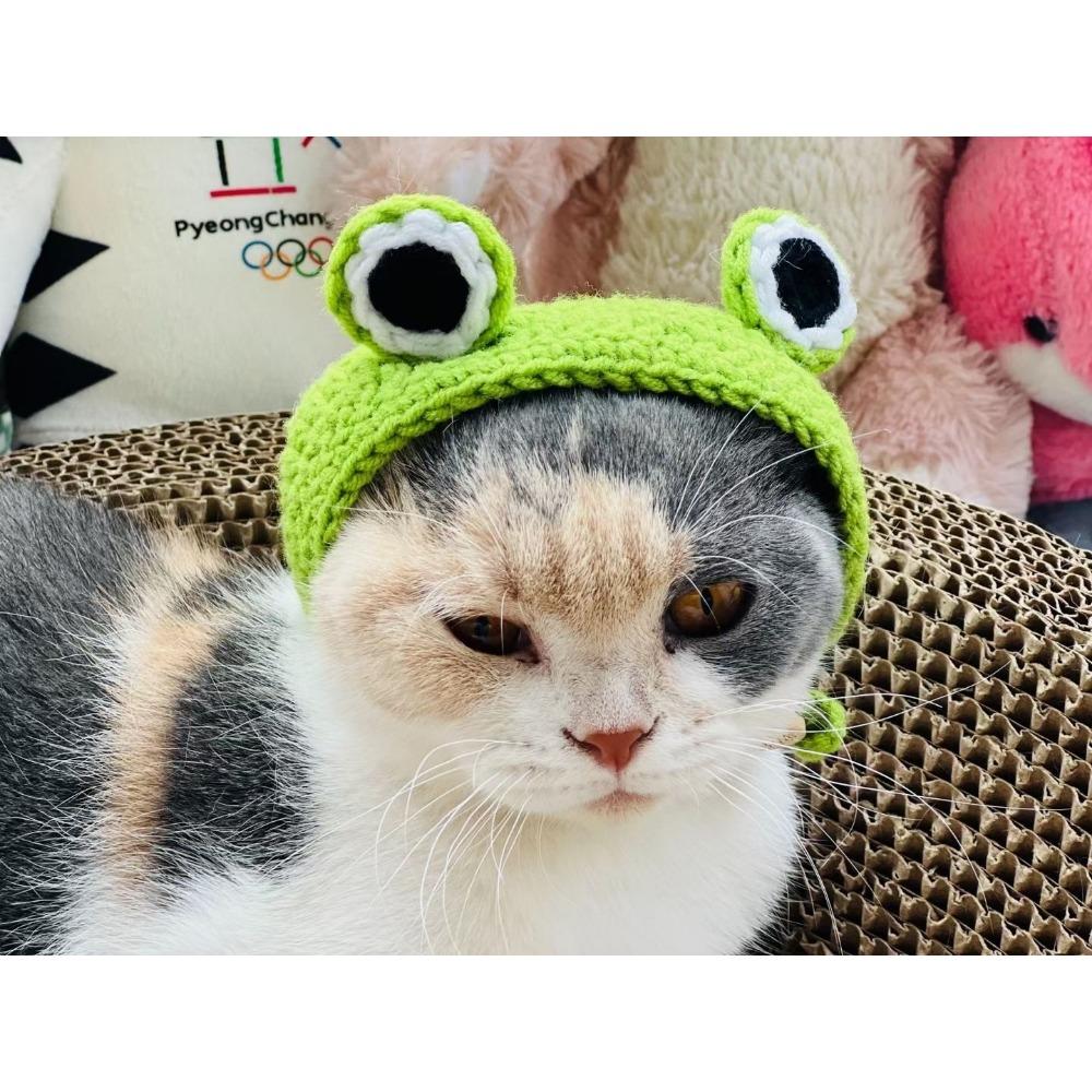 Cappello intrecciato a mano per animali domestici, simpatico cartone animato gatto cane, abbigliamento cappello decorazione, copricapo per animali domestici