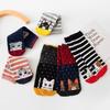 5 Pairs Fun Kitten Cotton Socks Gift Cute Cat Socks Women Cartoon Animal Crew Socks Colorful Casual Sock Set