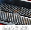 Recolte Home BBQ RBQ-1 (02: Red (Home BBQ Unit))
