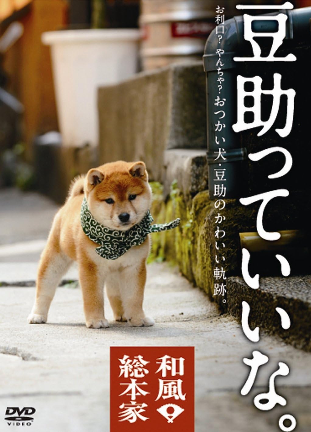 

DVD - Wafuku Sohonke Mamesuke is great. POBD25020 Japan Movies & DVD Used