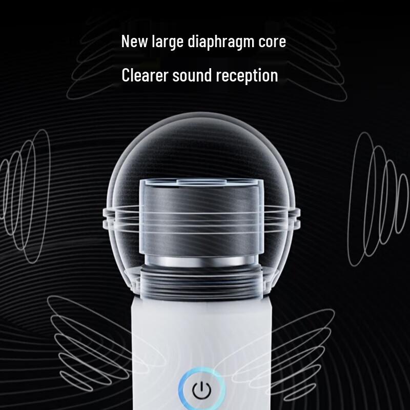 Soaiy SG20 KTV Sound Card Speaker System