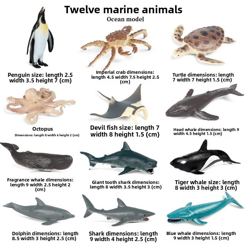 Dolphin Turtle Sea Miniature Marine Animal Set For Aquarium Decor And Kids Play