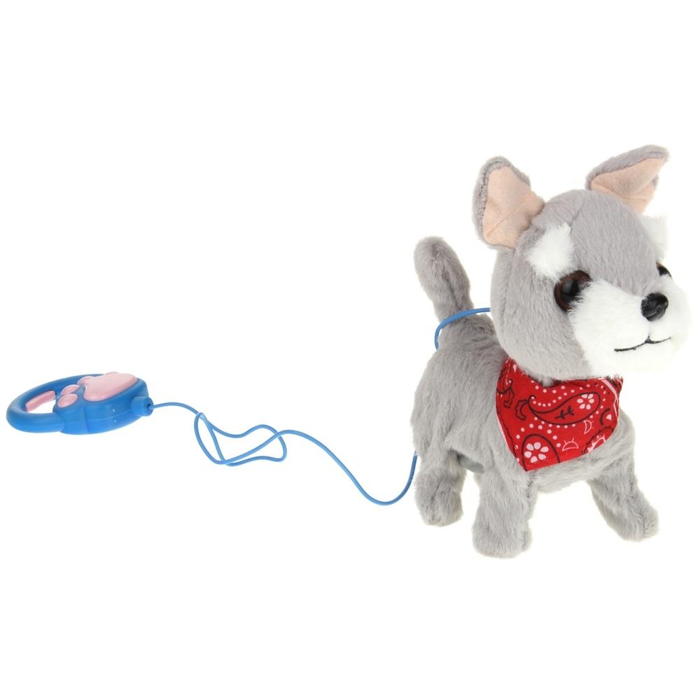 Interactive Dog on a Leash Mascot Schnauzer Walks and Barks