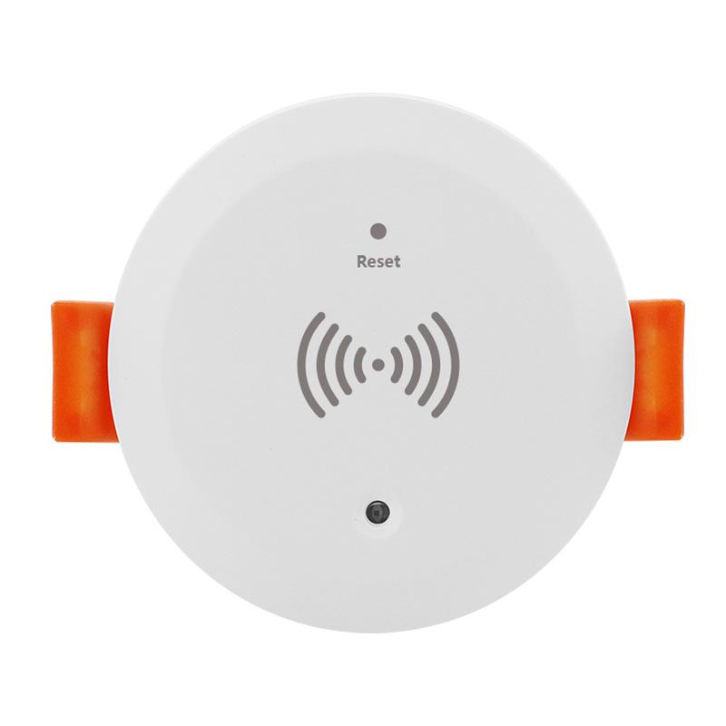 Graffiti Smart Ceiling Radar: Motion & Breathing Detector ZigBee Human Presence Sensor
