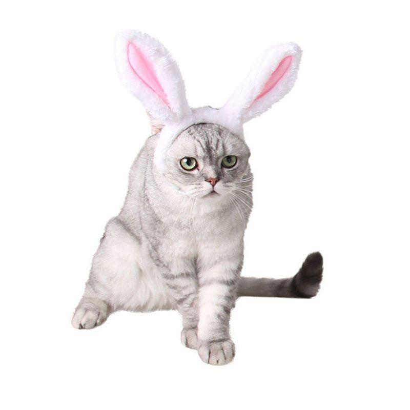 Versatile Halloween Xmas Pet Cat Dog Teddy Plush Hat Wizard Pumpkin Headgear Caps