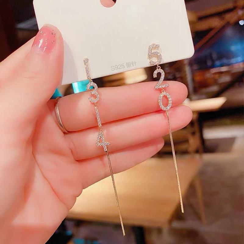 925 Silver Needle Long Tassel Earrings for Women - Korean Style, High-End, Popular and Versatile