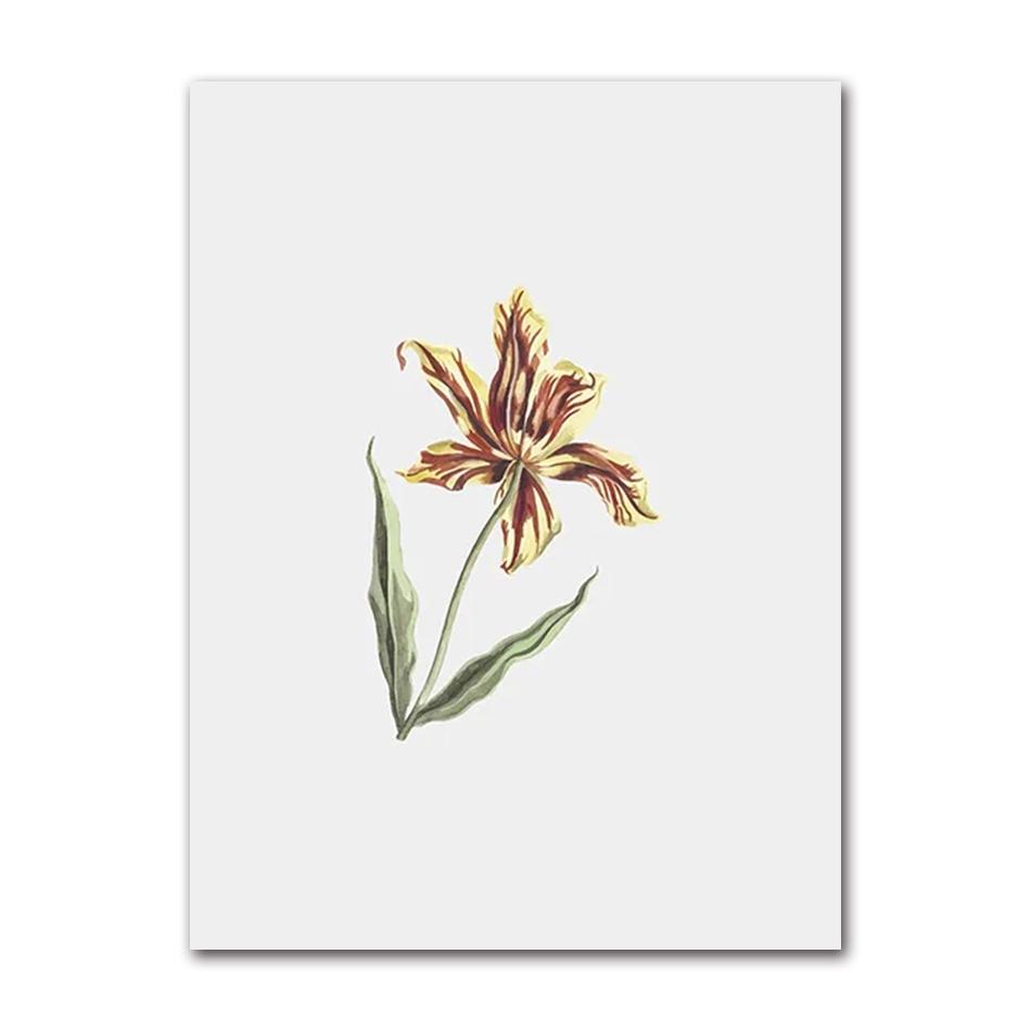 Vintage Wildpflanzen Poster Botanische Blumendrucke Leinwandmalerei Moderne Wandkunst Bilder für Wohnzimmer Dekoration