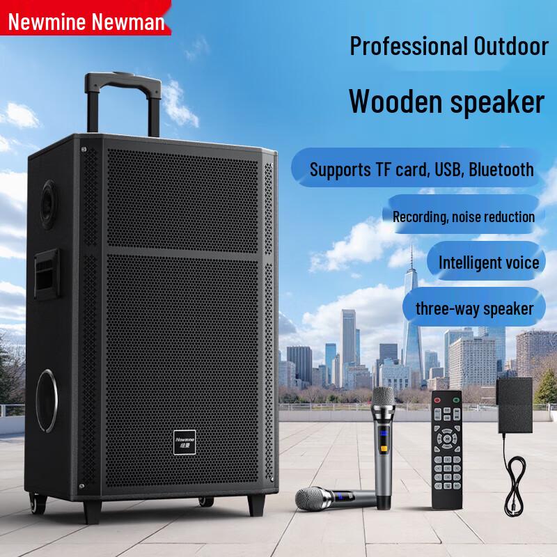 

Newman N528 15-inch Portable Bluetooth Trolley Speaker with Dual Mics