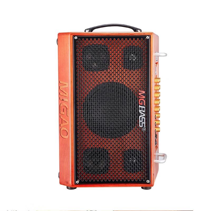 Miga MG-T5 Professional 150W Instrument Speaker System