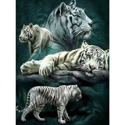 Diamant-Malerei Kreuzstich voller Diamant-Stickerei weiße Tiger Home Dekoration von Hand eingefügt