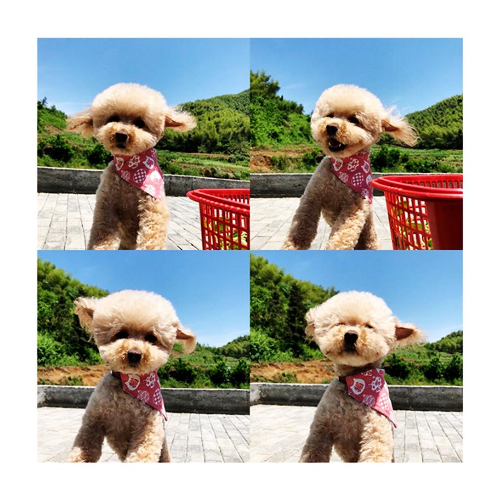 Cat Triangle Bib Cute Japanese Style Adjustable Mohair Pet Triangle Scarf for New Year Red XS