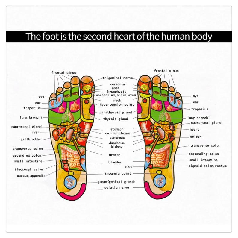 Electric EMS Foot Massager Pad Electrical Muscle Stimulation Foot Massager Foldable Massage Mat EMS121