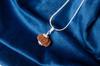 Natural 12 Mukhi Rudraksha 925 Siver Pendant – Nepali Origin | Bead for Leadership, Confidence, Solar Chakra & Success | Organic & Lab Certified