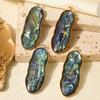 6pcs Real Natural Abalone Shell Geometric Charm Stainless Steel Charms For Jewelry Making Supplies Ocean Pendants DIY Materials