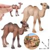 Mongolian Camel Children's Cognitive Simulation Model Toy