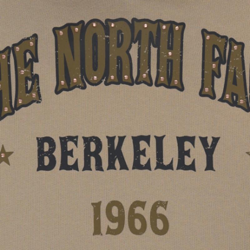 The North Face Vintage Pullover Hoodie Bei
