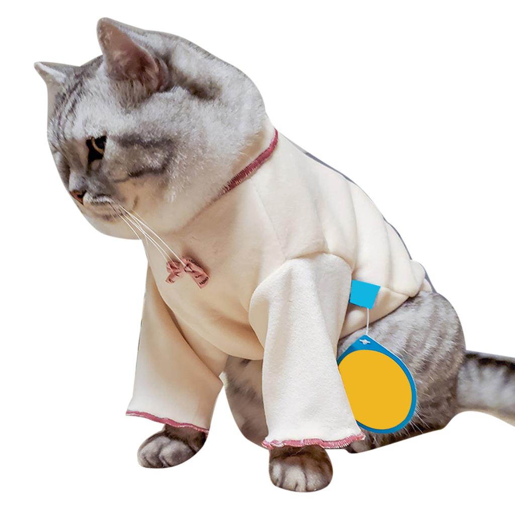 cat designer clothes