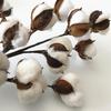 50cm Cotton Stems Decoration 12 Cotton Bolls Cotton Stalks Branch for Home Decor Wedding Centerpiece Farmhouse Decoration