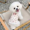 Soft Pet Dress Lace Hem Cat Sleeveless Vest Trendy Corgi Teddy Clothes  Pet Supplies