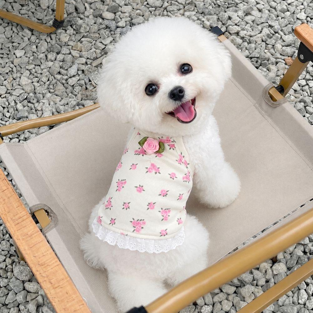 Soft Pet Dress Lace Hem Cat Sleeveless Vest Trendy Corgi Teddy Clothes  Pet Supplies