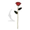 Ejoyous Gold Dipped Roses 24K Gold Rose Forever Blooming Flowers Pink