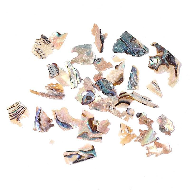 Shell fragment. Shell fragment
