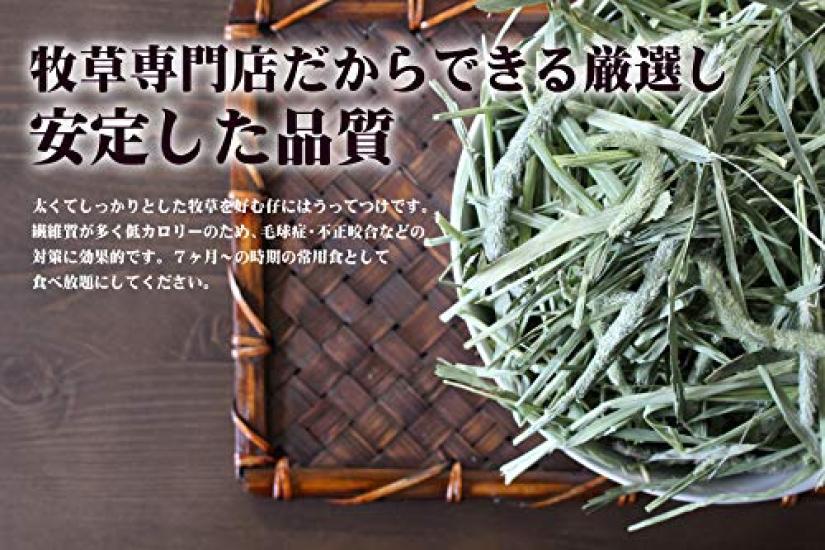 Geerntet in Grass Market Super Premium Timothy Erst Schnitt Heu 500g für Meerschweinchen [Neu 2020] (Graskaninchen, Schweine usw.)