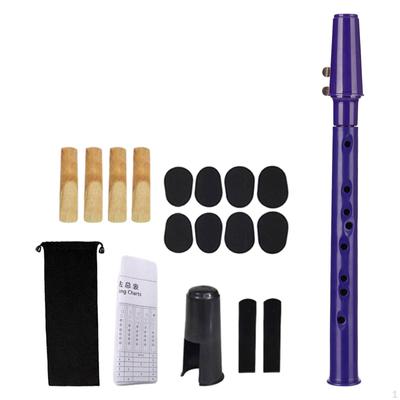 Compact Saxophone Set with Mouthpiece And Reeds, Portable Carrying Case - Ideal for Musicians of All