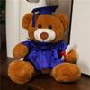 New Graduation Gift: Dr. Bear Plush Toy, Small Bear Doll, Plush Toy, Academic Gown Teddy Bear Doll