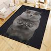 1PC Cute and Handsome Gray Cat Pattern Rugs Living Room Bedroom Carpet Bedside Bathroom Floor Mat Kids Room Non-slip Mat Decor