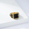 Retro Trend Titanium Steel Imitation Black Gem AG Freemason Spiral Pattern Ring for Men
