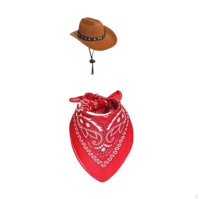 Oblečení pro husu Oblečení Dárek na kolaudaci Zahradní socha Kostým Klobouk a šála na dvůr trávník