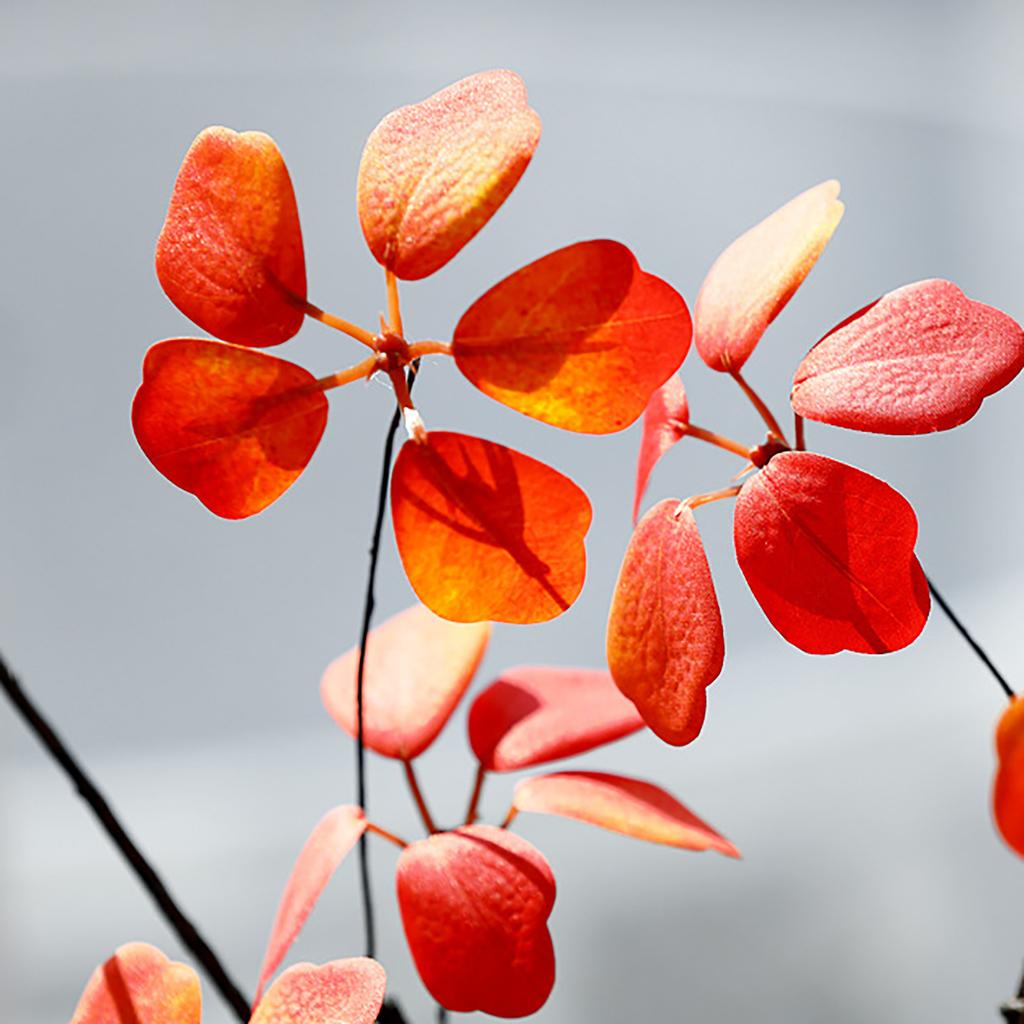 Artificial Leaf Plant Lifelike Easy To Clean Durable Fake Plant Photographic Prop for Indoor