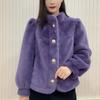 Cappotto Corto di Visone Caldo Spesso Manica Lunga Collo Alto Versatile Capispalla Autunno Inverno