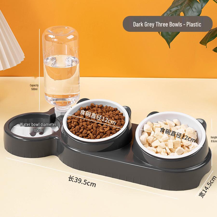 Dual Pet Food and Water Bowl with Automatic Drinking Feature